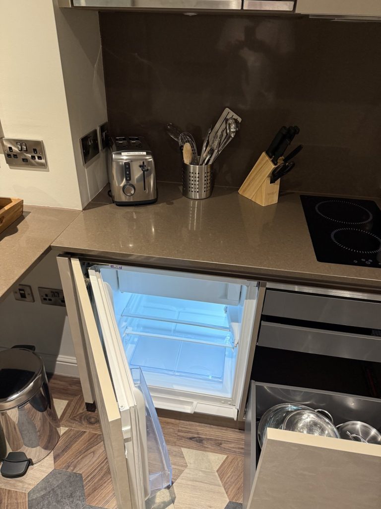 The kitchenette, with a hob, a fridge and a full set of utensils